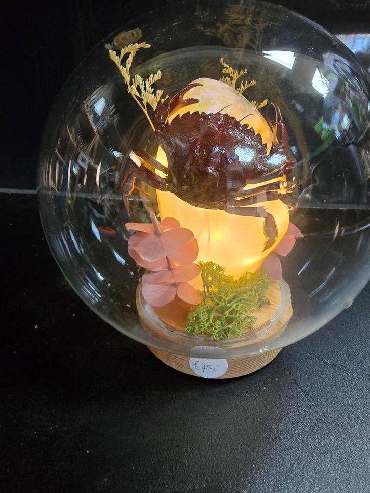 Opgezette krab in bol met licht, Antiek en Kunst, Antiek | Glaswerk en Kristal, Ophalen