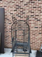 Volière, Animaux & Accessoires, Enlèvement, Volière