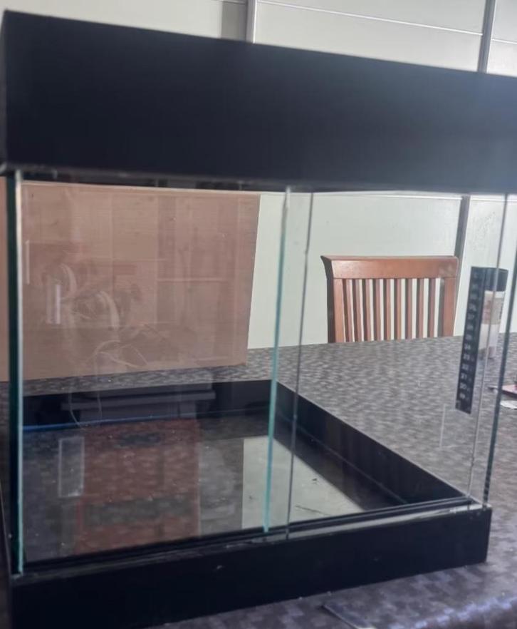 Terrarium 40x 40cm (état voir photos, Animaux & Accessoires, Reptiles & Amphibiens | Accessoires, Utilisé, Terrarium ou Paludarium