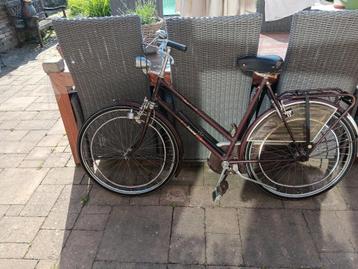 LHBTI, dames/heren fiets te koop. beschikbaar voor biedingen