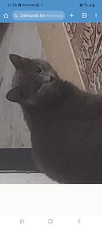 Dekkater, 0 tot 2 jaar