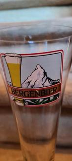 Bergenbier Alost (grande flûte), Enlèvement ou Envoi, Comme neuf