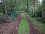 2 aan elkaar grenzende Percelen Bosgrond, Immo, Gronden en Bouwgronden, Moerbeke-Waas (Lokeren), Verkoop zonder makelaar, 1500 m² of meer
