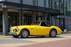 Austin Healey 100 6 100/6 (bj 1957), Auto's, Overige merken, Overige kleuren, Cabriolet, 120 pk