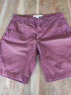 short bordeaux maat 31 of M H&M, Vêtements | Hommes, Pantalons, Autres couleurs, Enlèvement, Porté, H&M