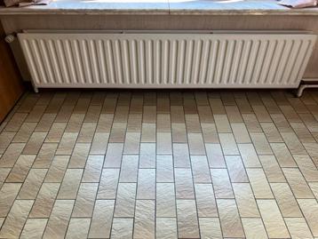 Verschillende radiatoren - 25 euro per stuk, Enlèvement, Comme neuf