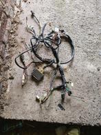 Allumage Zip sp2 avec tresse, Vélos & Vélomoteurs