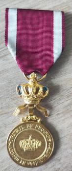Médaille "Travail et Progrès", Postzegels en Munten, Penningen en Medailles, Ophalen of Verzenden