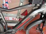 Spedelec te koop, Fietsen en Brommers, Ophalen