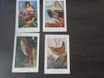 4 anciennes cartes postales d'oiseaux, Enlèvement, Oiseaux