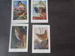 4 oude vogelkaarten, Verzamelen, Postkaarten | Dieren, Ophalen, Vogel