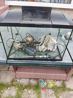 Aquarium, Dieren en Toebehoren, Ophalen, Zo goed als nieuw, Leeg aquarium