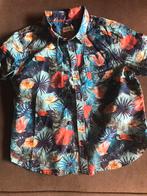 Een tropisch t-shirt en short, Kinderen en Baby's, Kinderkleding | Maat 104, Nieuw, Jongen, Orchestra, Setje