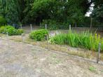 omheining - afsluiting, Tuin en Terras, Gaas en Draad, Ophalen, Gebruikt, Gaas