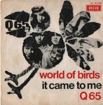Q65 single "World of Birds/It Came to Me", CD & DVD, Vinyles Singles, 7 pouces, Utilisé, Envoi, Single