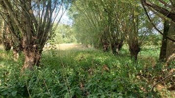 Stuk grond 2110m² in volle natuur, Immo, Lebbeke - Wieze, Ventes sans courtier, 1500 m² ou plus