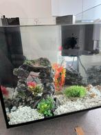 Aquarium 12x12x12 + accesoires & pomp, Dieren en Toebehoren, Vissen | Aquaria en Toebehoren, Ophalen, Zo goed als nieuw, Leeg aquarium
