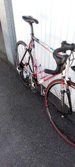 Colnago fiets, Ophalen, 28 inch, Carbon, Heren