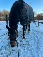 Winter paarden deken 400 gram maat 205, Ophalen, Gebruikt, Deken