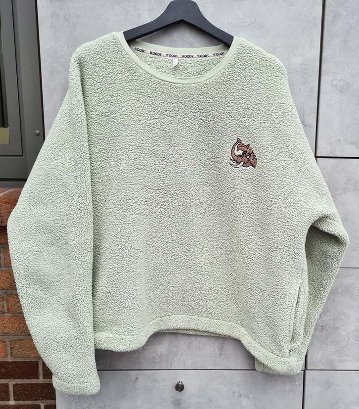 sweater groene teddy Woody - XL - lees info aub, Kleding | Heren, Truien en Vesten, Ophalen