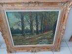 mooi schilderij, 94cm op 85cm, Ophalen