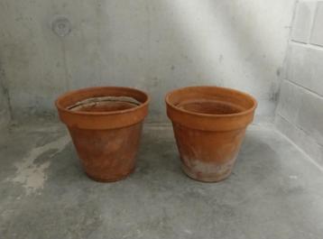 Bloempot terracotta beschikbaar voor biedingen