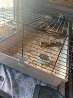Kooi, Ophalen, Zo goed als nieuw, Kooi
