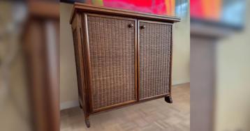 Compact tv-meubel met rotan deur beschikbaar voor biedingen