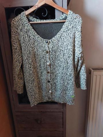 Vest Gaudi  beschikbaar voor biedingen