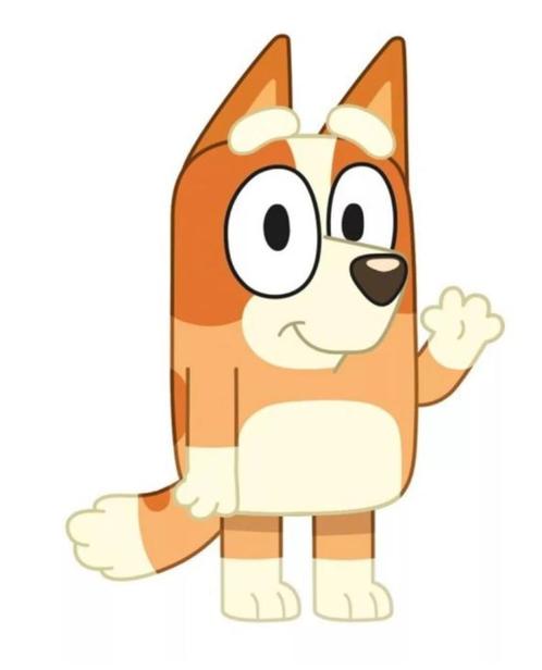 Bluey Knuffelkussen / Kussen - Bingo, Kinderen en Baby's, Kinderkamer | Inrichting en Decoratie, Nieuw, Kleed of Kussen, Ophalen of Verzenden