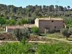 Finca in Maella (Aragón, Spanje) - 1009, Immo, Buitenland, 8 kamers, Spanje, Landelijk, 317 m²