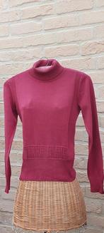 Rolkraagtrui maat s/m terre bleue, Vêtements | Femmes, Pulls & Gilets, Taille 38/40 (M), Enlèvement ou Envoi, Terre Bleue, Autres couleurs