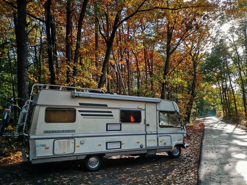 karaktervolle Mercedes Hymer Camper 1981, Caravans en Kamperen, Mobilhomes, Particulier, Integraal, tot en met 6, Hymer, Diesel