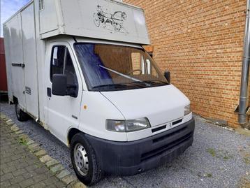 Paardencamionette voor 2 paarden of 3 ponys rijbewijs b