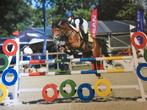 Sportpony merrie te koop, Dieren en Toebehoren, Merrie, ZZ, Springpaard, Minder dan 160 cm