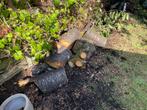 Open haard hout, Minder dan 3 m³, Ophalen, Overige houtsoorten, Stammen