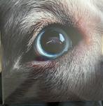 Roger waters, Verzenden, Zo goed als nieuw, 12 inch, Progressive