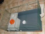 Cage pour cochons d'inde, Animaux & Accessoires, Rongeurs & Lapins | Cages & Clapiers, 75 à 110 cm, Enlèvement, Utilisé, Cage