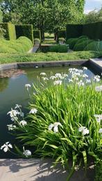 vijverpompen, Tuin en Terras, Ophalen, Zo goed als nieuw