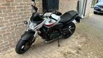 Honda CB600 Hornet, Naked bike, Particulier, Plus de 35 kW