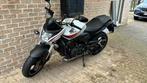 Honda CB600 Hornet, Naked bike, Particulier, Plus de 35 kW