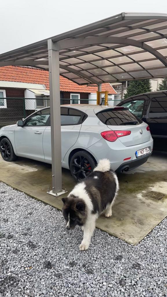 Alfa Romeo te koop, Auto's, Alfa Romeo, Particulier, Giulietta, ABS, Airconditioning, Bluetooth, Centrale vergrendeling, Elektrische ramen