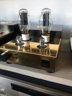 Amplificateurs Mono Audion Triode Classe A, Silvernight, Enlèvement ou Envoi, Amplificateur