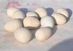 11 œufs en plâtre pour couvée de pigeon, Enlèvement ou Envoi, Comme neuf