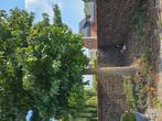 Gratis brandhout, Ophalen