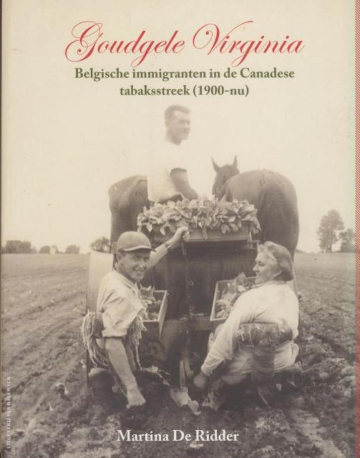 (g122) Goudgele Virginia, Belgische emigranten in de Canada, Boeken, Geschiedenis | Stad en Regio, Gelezen, Verzenden