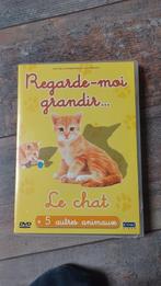 DVD Regarde-moi grandir - Le chat, CD & DVD, DVD | Enfants & Jeunesse, Tous les âges, Enlèvement ou Envoi, Utilisé, Animaux