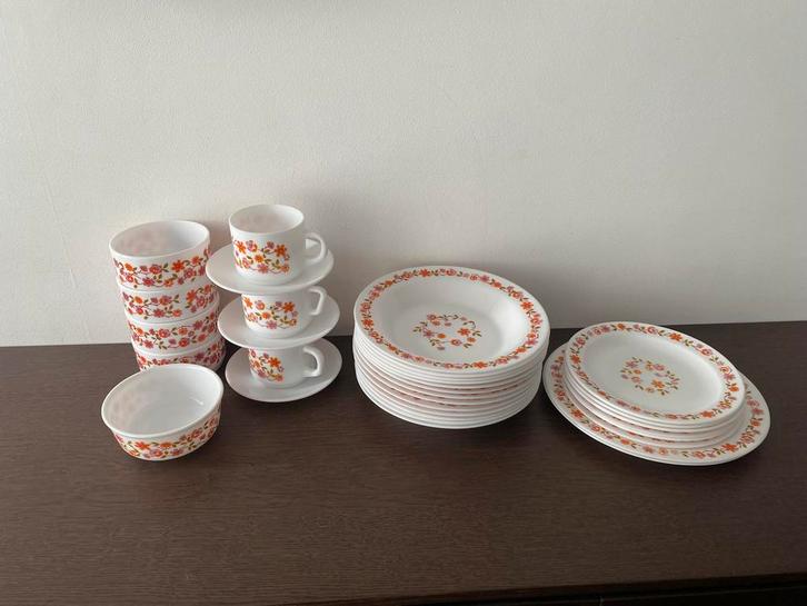Vintage servies arcopal Scania, Antiek en Kunst, Antiek | Servies compleet, Ophalen