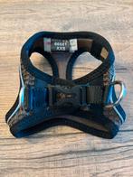 Harnais pour chiot, Enlèvement, Comme neuf