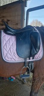 Selle de dressage Kentaur, Enlèvement ou Envoi, Dressage